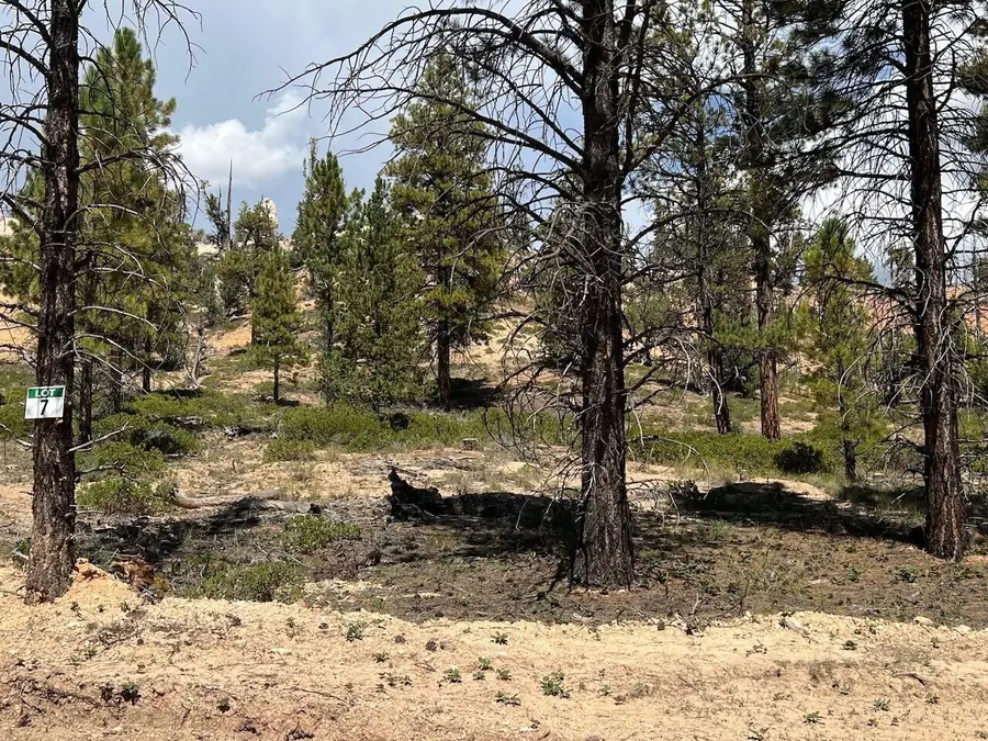 Elk Ridge Estates #Lot  7 Phase 6, Alton, UT 84710 - #3