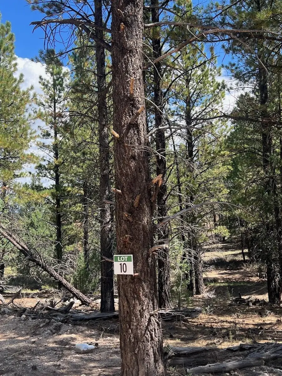 Elk Ridge Estates #Lot  10 Phase 6, Alton, UT 84710 - #3