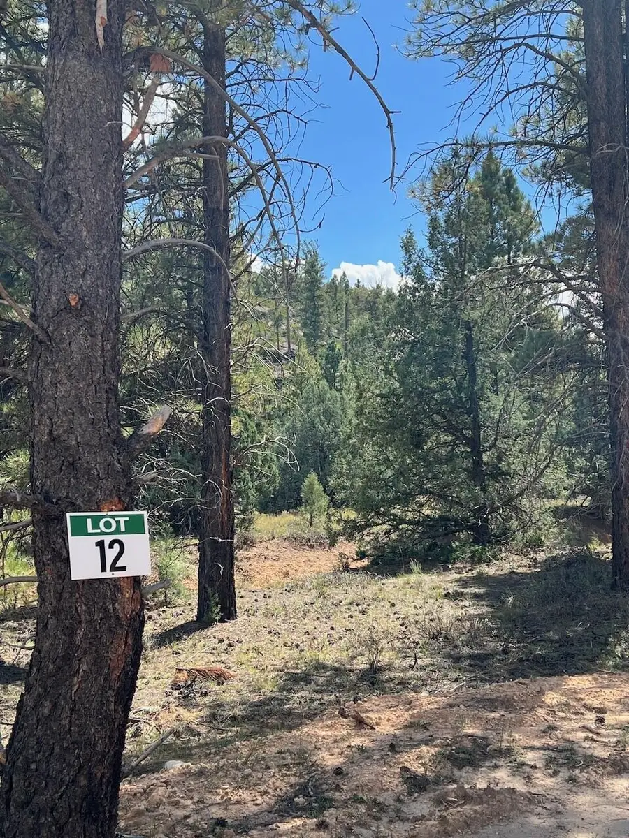 Elk Ridge Estates #Lot  12 Phase 6, Alton, UT 84710 - #3