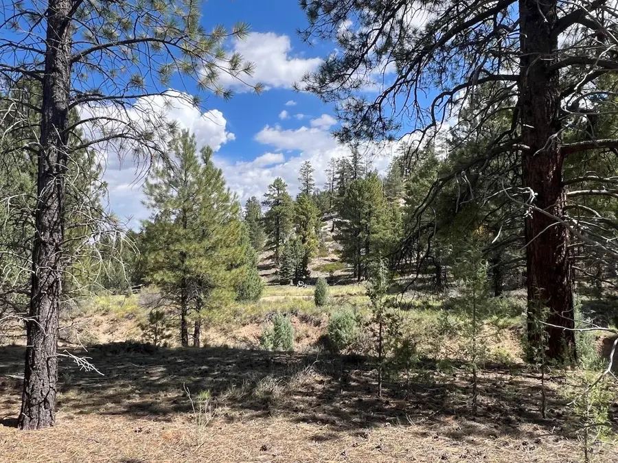 Elk Ridge Estates #Lot  11 Phase 6, Alton, UT 84710 - #2