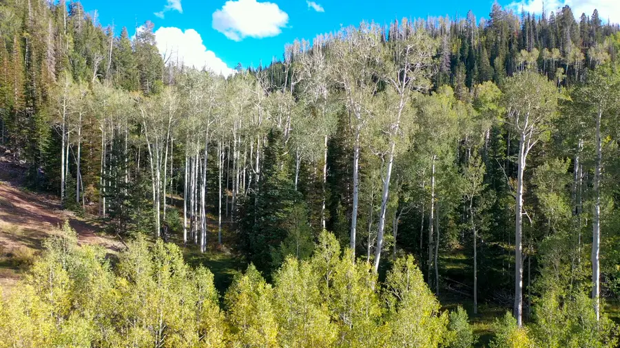371 Acres Dry Lakes Rd, Brian Head, UT 84719 - #2