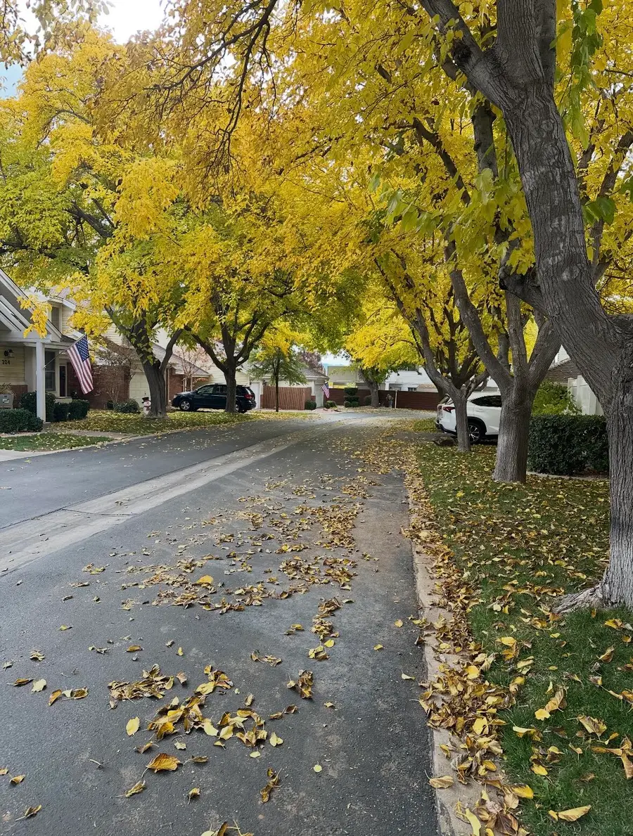 845 N Valley View Drive #500, Saint George, UT 84770 - #2