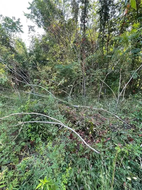 103 Kickapoo Trail, Edenton, NC 27932 - #3