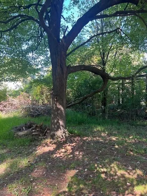 .69 ac Old Mill Road, Chesapeake, VA 23323 - Image #3