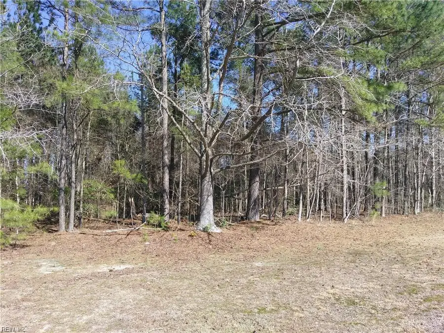 42-7B College Run, Elberon, VA 23846 - Image #2