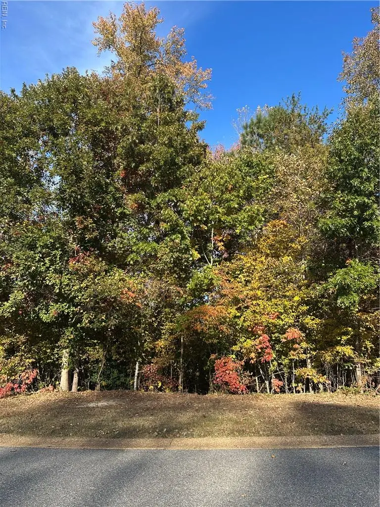 208 Monifieth, Williamsburg, VA 23188 - Image #2