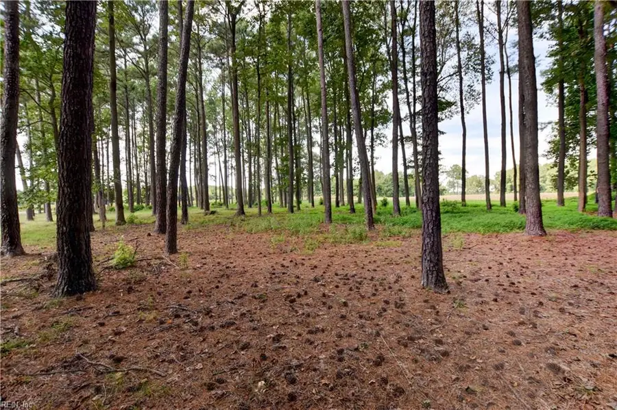 00 Cobham Wharf Road, Surry, VA 23883 - Image #2