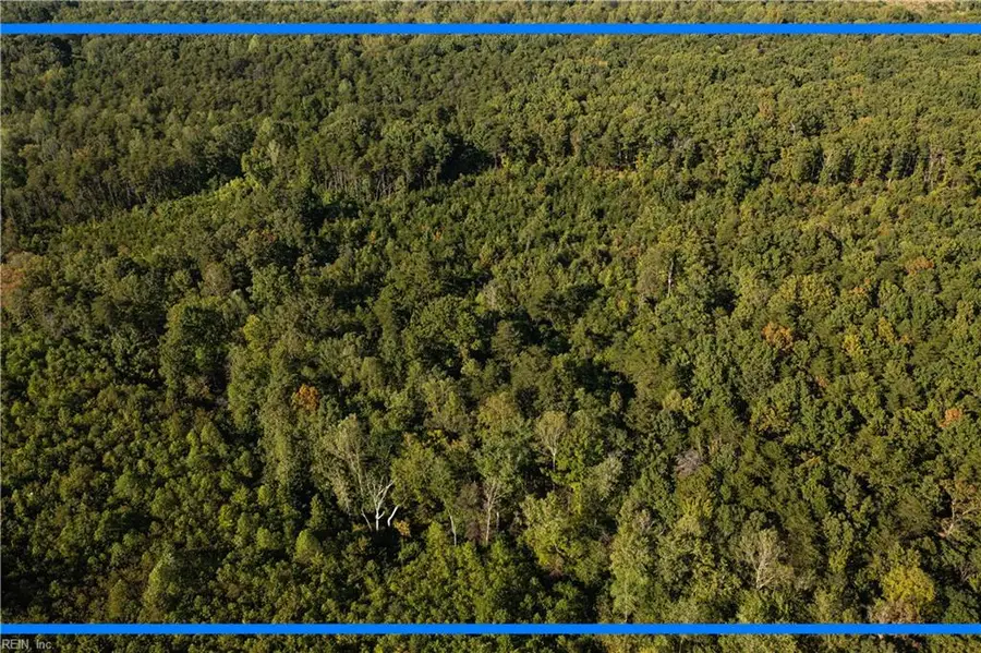 25 ac Chris Run, Louisa, VA 23093 - Image #3