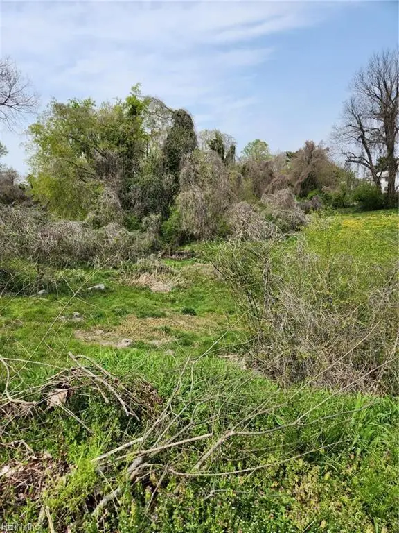 134 Mahan Street, Suffolk, VA 23434 - Image #1