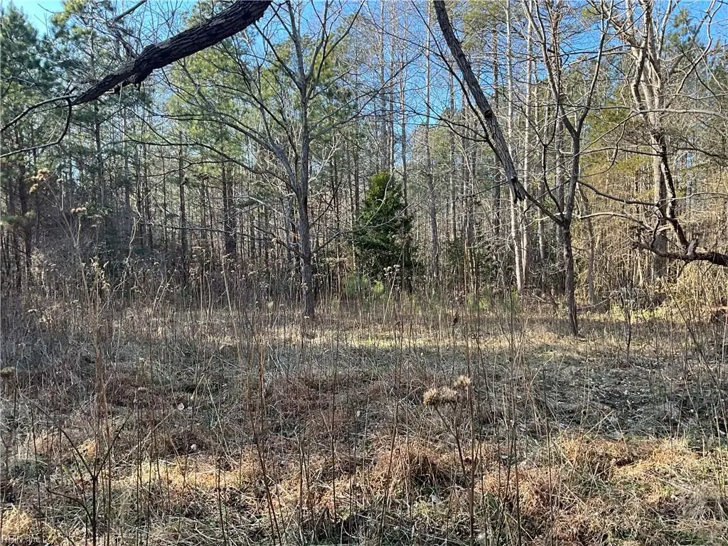17.4AC Salem Wood Road, Gloucester, VA 23061 - Image #1