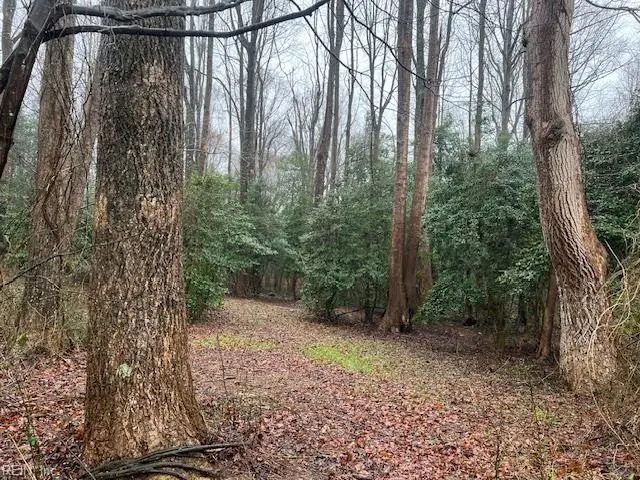 4.5ac Elsom Mascot Road, Mattaponi, VA 23110 - Image #2