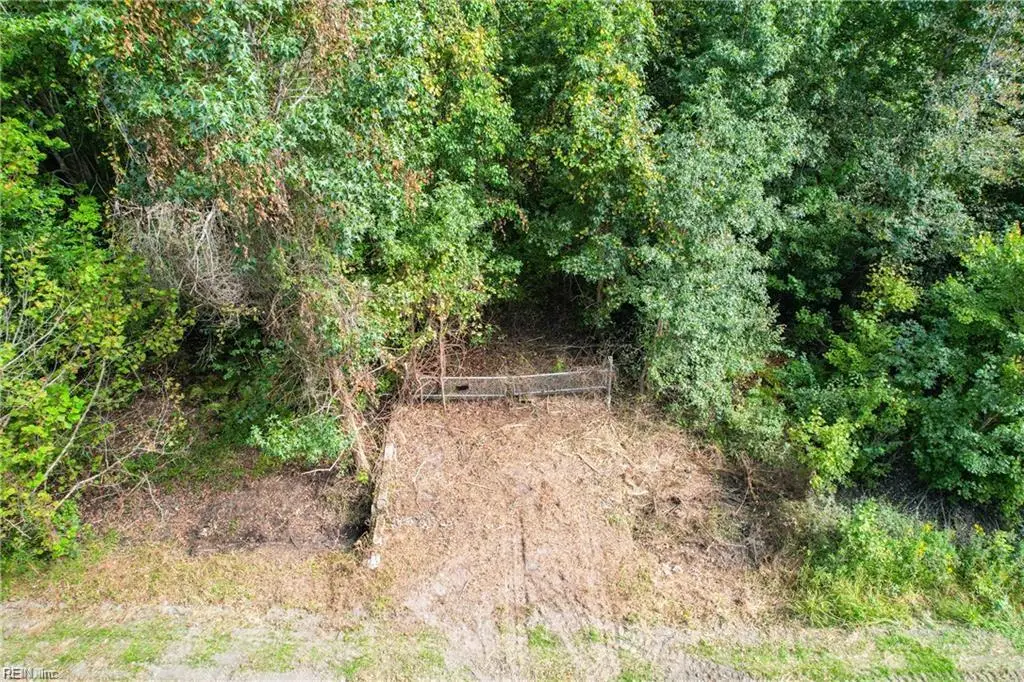 2.5 Ac Dismal Swamp Canal Trail, Chesapeake, VA 23322 - #1