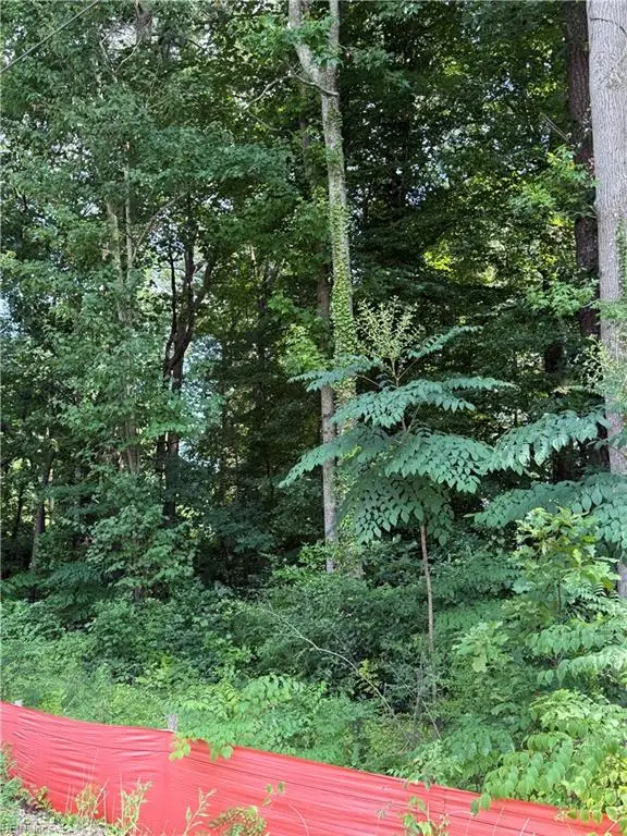 1117 Jackson Street, Virginia Beach, VA 23451 - #3