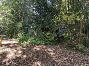 4558 Shoshone Court, Norfolk, VA 23513