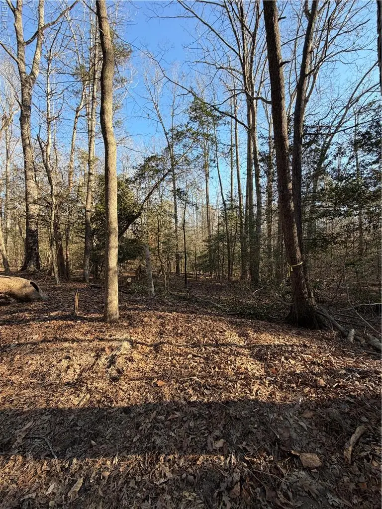 4.68AC King William Road, King William, VA 23086 - #1