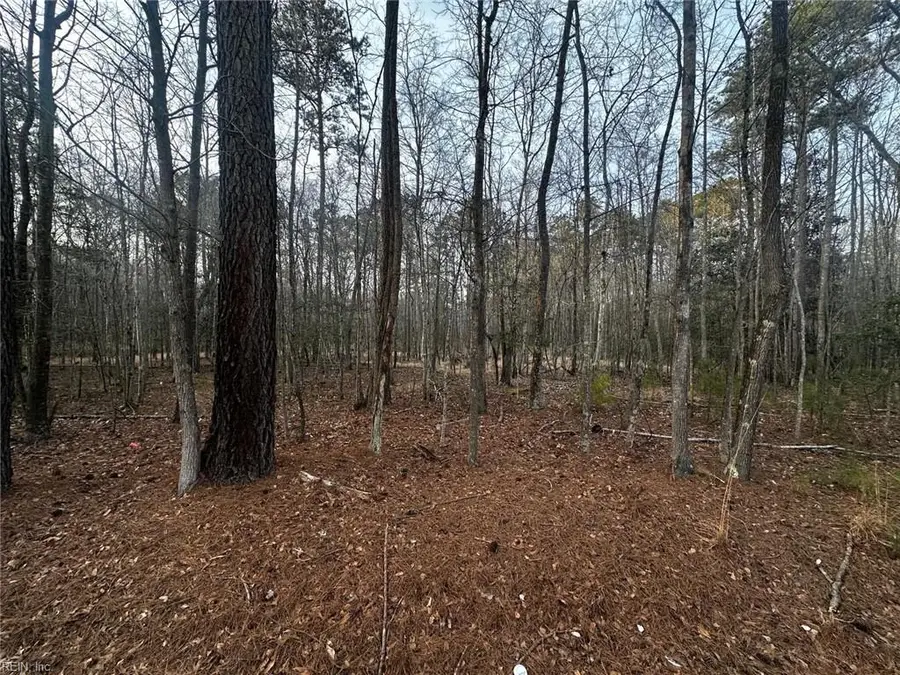 1.58AC General Thomas Highway, Newsoms, VA 23874 - #3