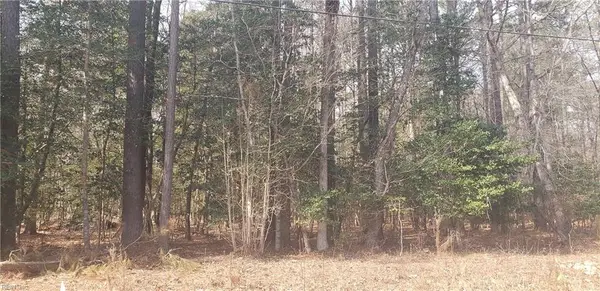 70 Homestead Lane, Franklin, VA 23851