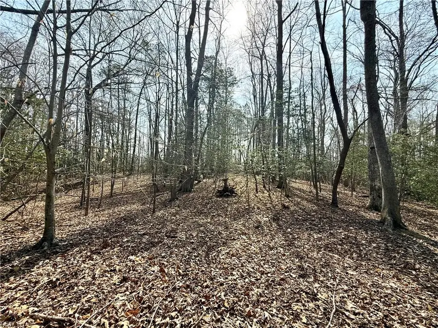 8135 Wrenfield Dr Drive, Williamsburg, VA 23188 - #3