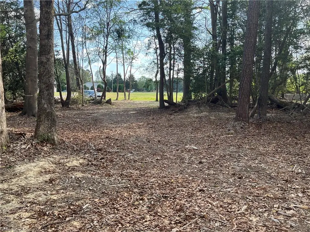 Lot 2 Eagle Lane, Surry, VA 23883 - #1