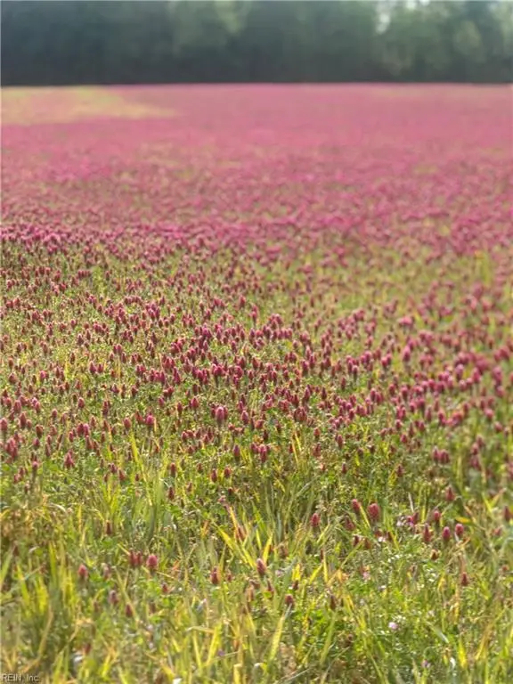 21AC Murphy Mill Road, Windsor, VA 23487 - #3