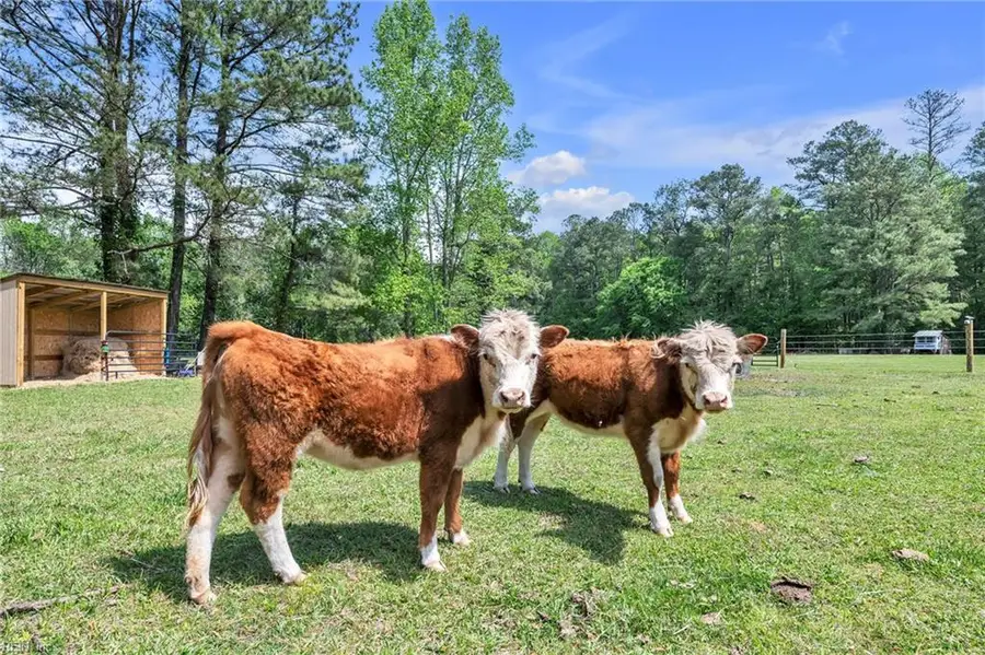 2244 Benefit Road, Chesapeake, VA 23322 - #2