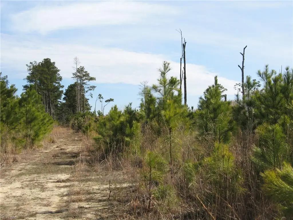 4161 Caratoke Highway, Barco, NC 27917 - #1