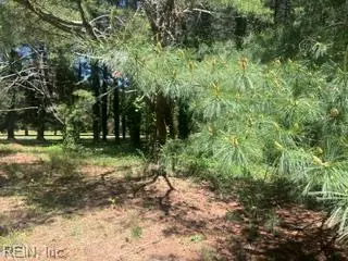 1.1+AC Laurel Haven Drive, Gloucester Point, VA 23184 - #1