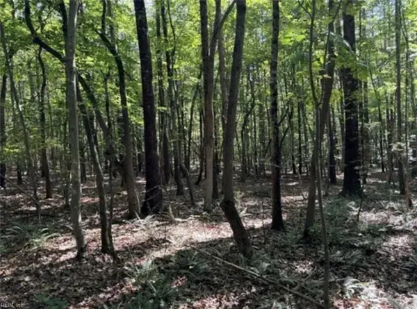 44 AC Blue Jay Street, Danville, VA 24541