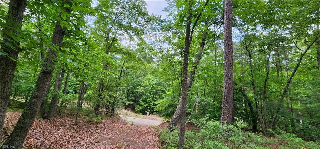 29 A Arminta Lane, Lanexa, VA 23089 - #1