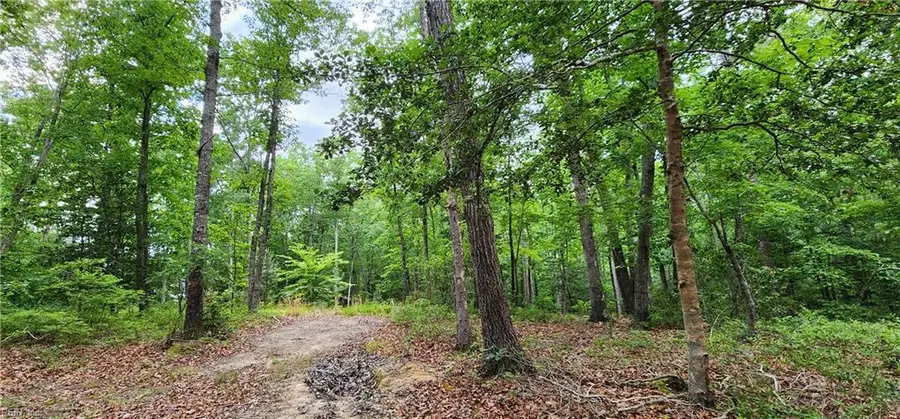 29 A Arminta Lane, Lanexa, VA 23089 - #2