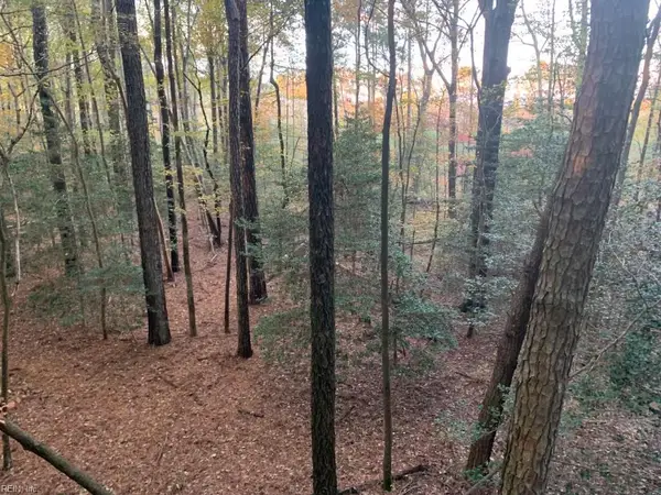 10+AC Groton Tract A Woods, Onancock, VA 23417
