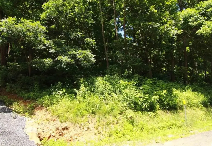 270 Timber Camp Drive, Roseland, VA 22967 - #2