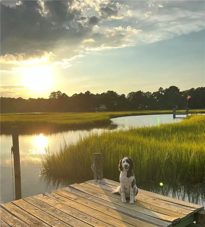5233 Rockport Landing, Suffolk, VA 23435 - #3
