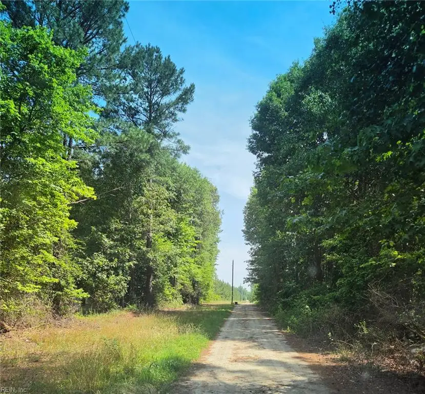 50+AC Guy Place Road, Courtland, VA 23837 - #2