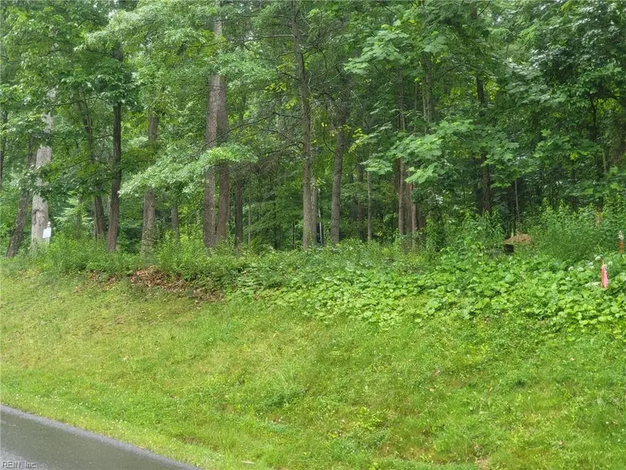 Lot 50 Donald Ross Trail, Hot Springs, VA 24445 - #2