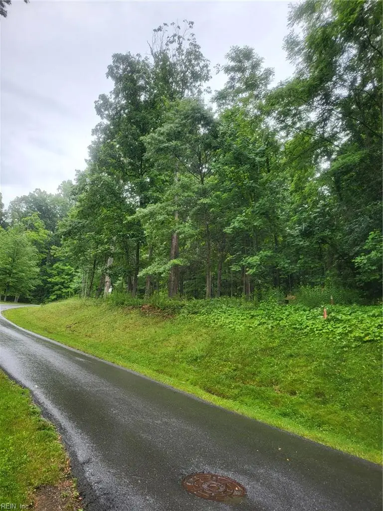 Lot 50 Donald Ross Trail, Hot Springs, VA 24445 - #3