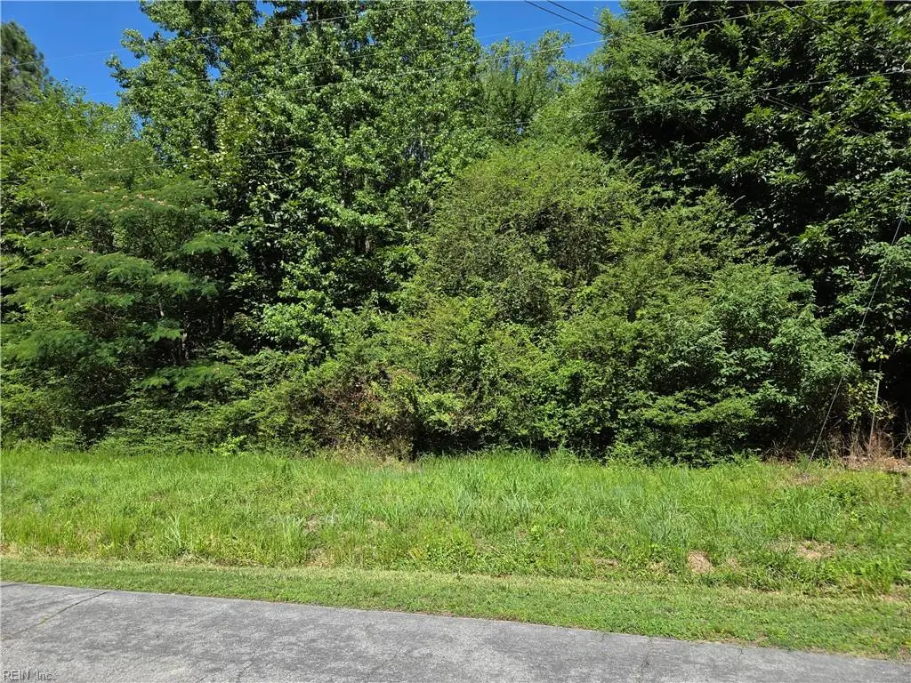 Lot 2 Branch Bridge Street, Branchville, VA 23828 - #1