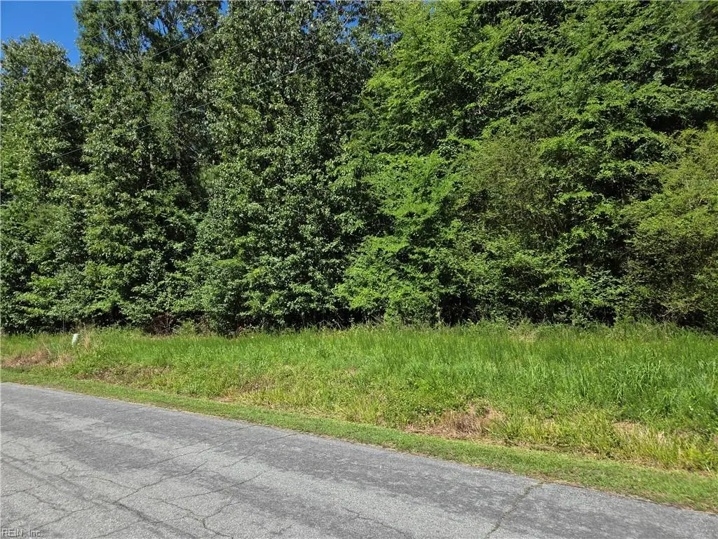 Lot 4 Branch Bridge Street, Branchville, VA 23828 - #1