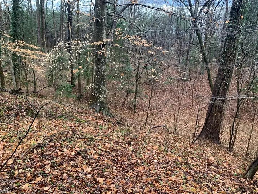 Lot 7 Mt Holly Creek Lane, Smithfield, VA 23430 - #3