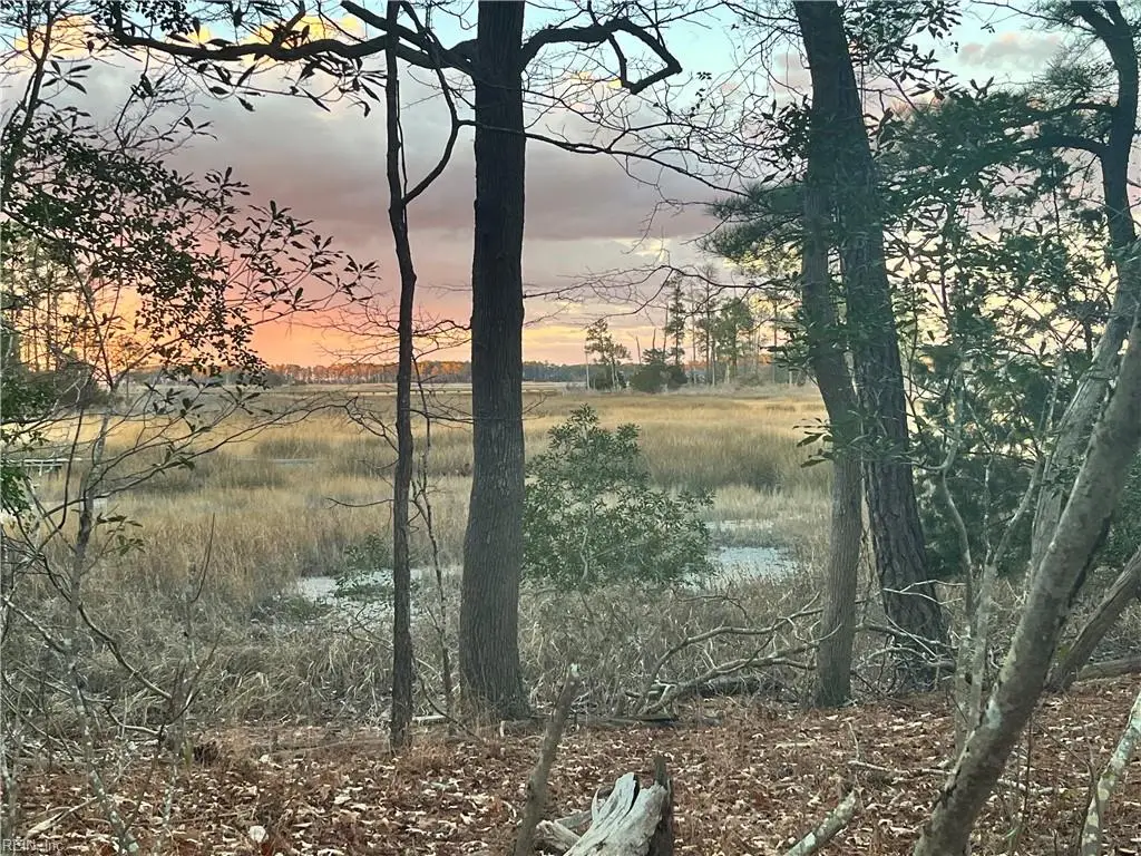 9 AC Bay Farm Road, Carrollton, VA 23314 - #1