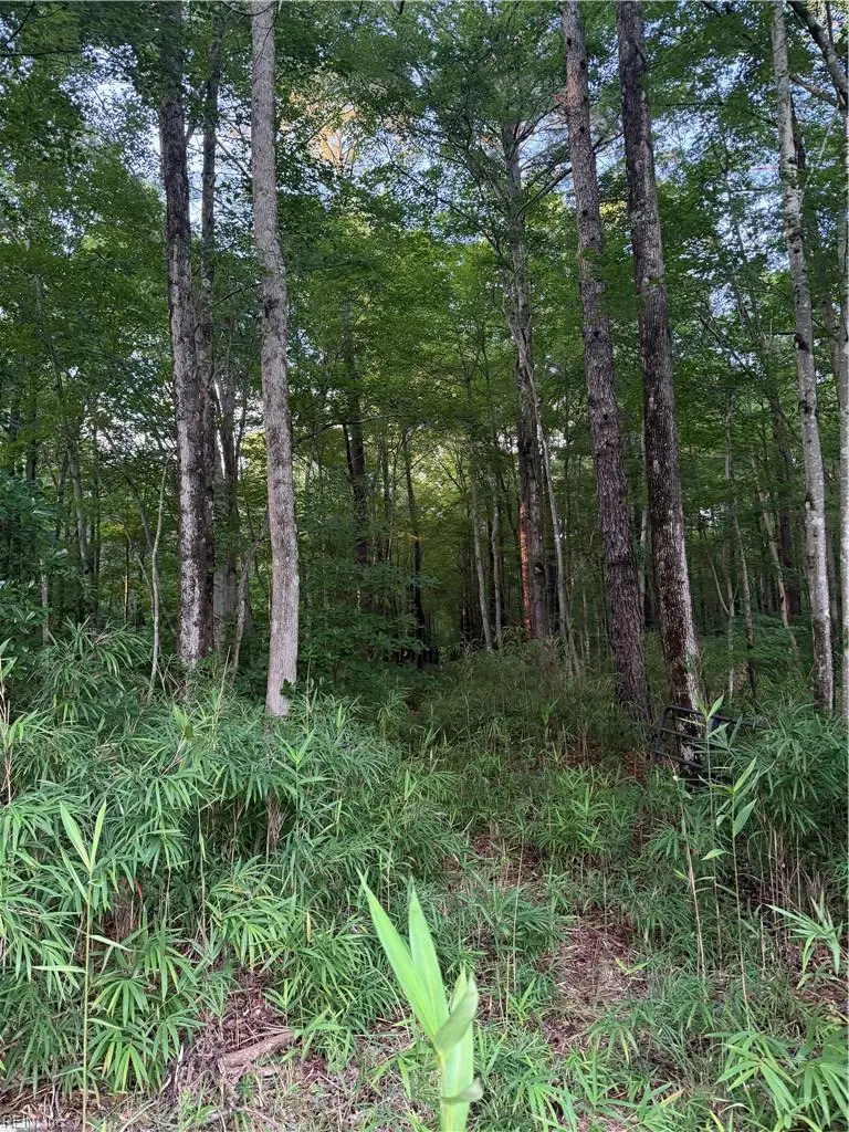 Lot 4 Tuck Street, Chesapeake, VA 23322 - #1