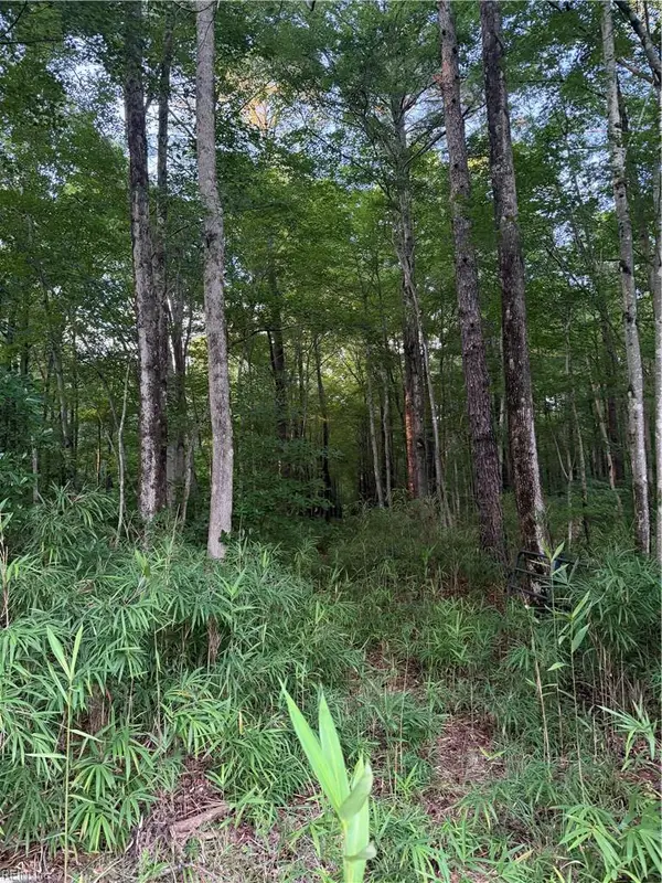 Lot 4 Tuck Street, Chesapeake, VA 23322