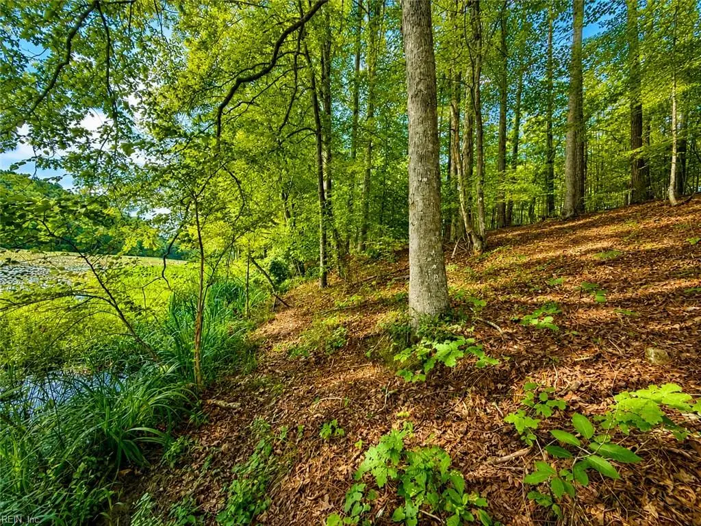 LOT 5 Birdsong Road, Ebony, VA 23845 - #1