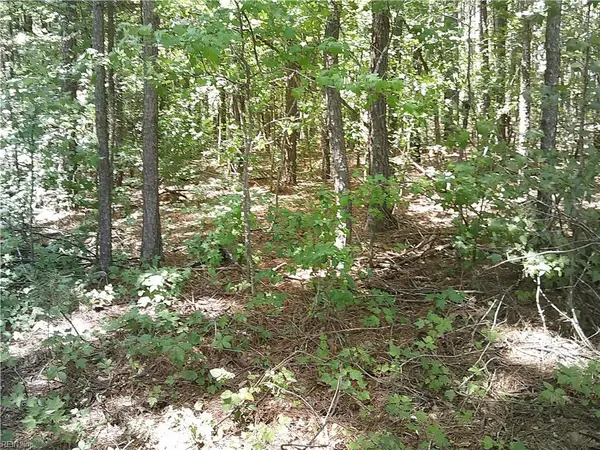 8 acs Seacock Chapel Road, Zuni, VA 23898