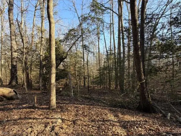 4.68AC King William Road, King William, VA 23086