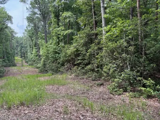 Lot 28 Rivers Knoll, Heathsville, VA 22473 - #2