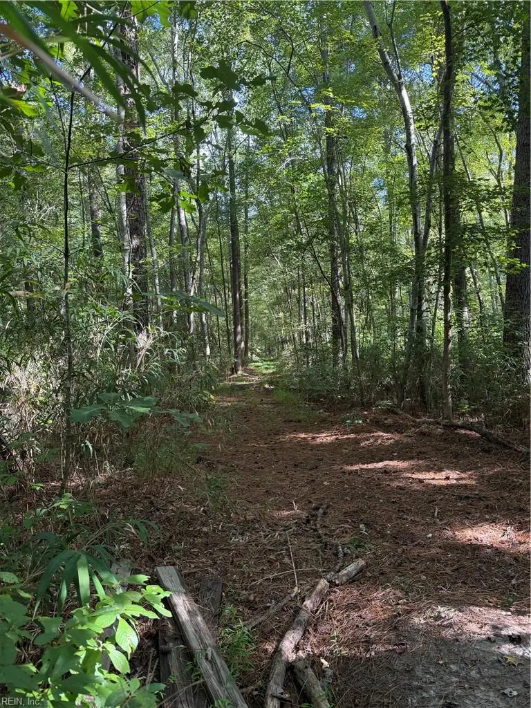 1622 Tuck Street, Chesapeake, VA 23322 - #1