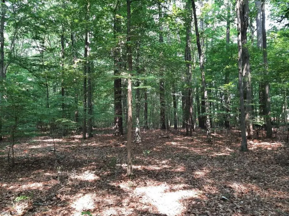 6628 Blackwater Road, Virginia Beach, VA 23457 - #1