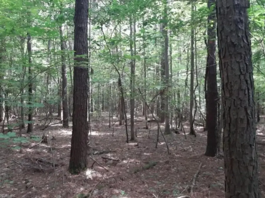 6636 Blackwater Road, Virginia Beach, VA 23457 - #2