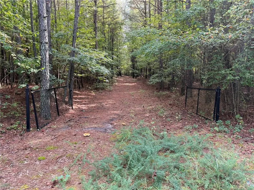Parcel Dripping Springs Road, Dendron, VA 23839 - #1